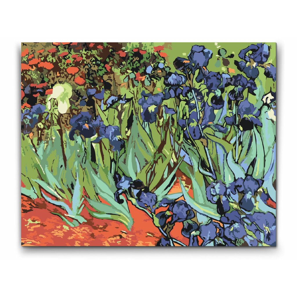 Iriser -Vincent van Gogh - med dubbelfärg och fri frakt - paint by number