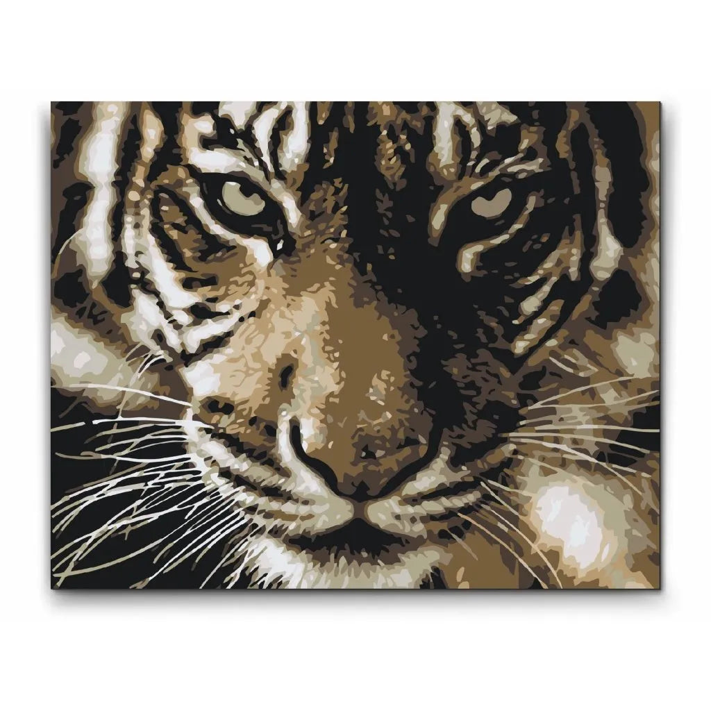 Tiger - med dubbelfärg och fri frakt - paint by number